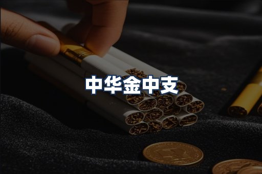 中华金中支